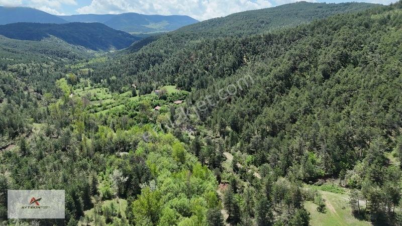 Hem Dereye Hem Yola Sıfır! Kastamonu'da 411 M² Müstakil Bahçe! — fotoğraf 9