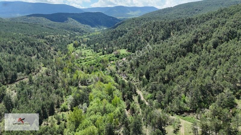 Hem Dereye Hem Yola Sıfır! Kastamonu'da 411 M² Müstakil Bahçe! — fotoğraf 10