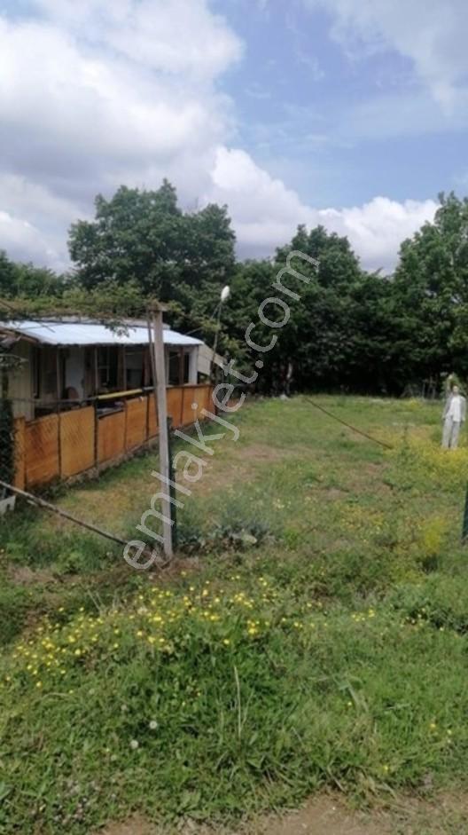 Denız Can Emlak Hatipler-tepemanayir Köyünde Asfalt Cephe Arsa — fotoğraf 5