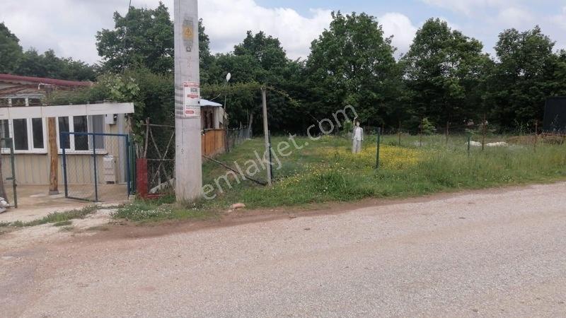 Denız Can Emlak Hatipler-tepemanayir Köyünde Asfalt Cephe Arsa — fotoğraf 6