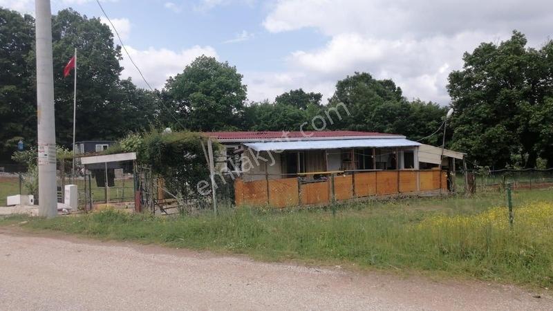 Denız Can Emlak Hatipler-tepemanayir Köyünde Asfalt Cephe Arsa — fotoğraf 7