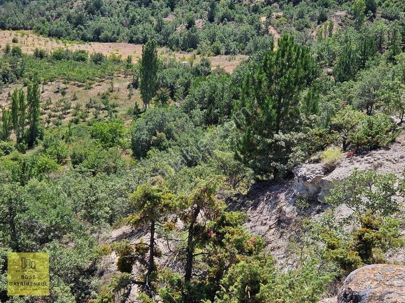 Eskişehir Elma Ve Ceviz Çiftliği 35.000m2 Toplam — fotoğraf 2