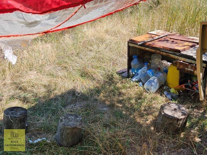 Eskişehir Elma Ve Ceviz Çiftliği 35.000m2 Toplam — fotoğraf 6