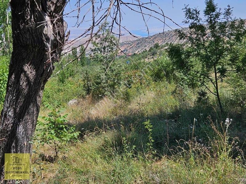 Eskişehir Elma Ve Ceviz Çiftliği 35.000m2 Toplam — fotoğraf 9