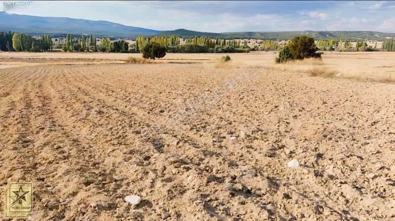Altıntaş Pınarcık Havalimanı 14 Km|zafer Osb 20 Km|köye 700 M — fotoğraf 3