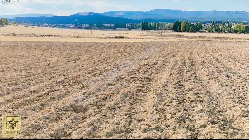 Altıntaş Pınarcık Havalimanı 14 Km|zafer Osb 20 Km|köye 700 M — fotoğraf 4
