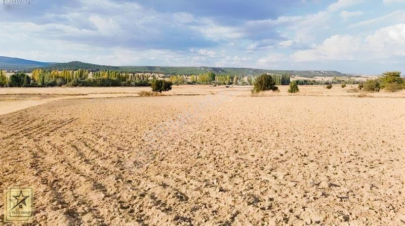 Altıntaş Pınarcık Havalimanı 14 Km|zafer Osb 20 Km|köye 700 M — fotoğraf 5