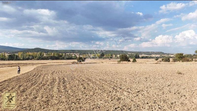 Altıntaş Pınarcık Havalimanı 14 Km|zafer Osb 20 Km|köye 700 M — fotoğraf 6