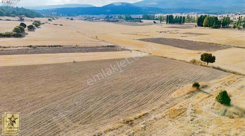 Altıntaş Pınarcık Havalimanı 14 Km|zafer Osb 20 Km|köye 700 M — fotoğraf 7