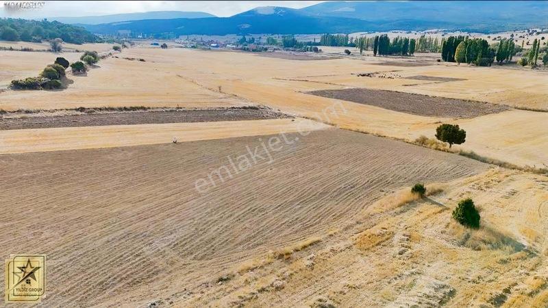Altıntaş Pınarcık Havalimanı 14 Km|zafer Osb 20 Km|köye 700 M — fotoğraf 8
