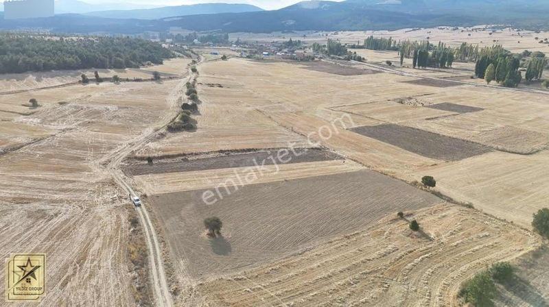 Altıntaş Pınarcık Havalimanı 14 Km|zafer Osb 20 Km|köye 700 M — fotoğraf 9