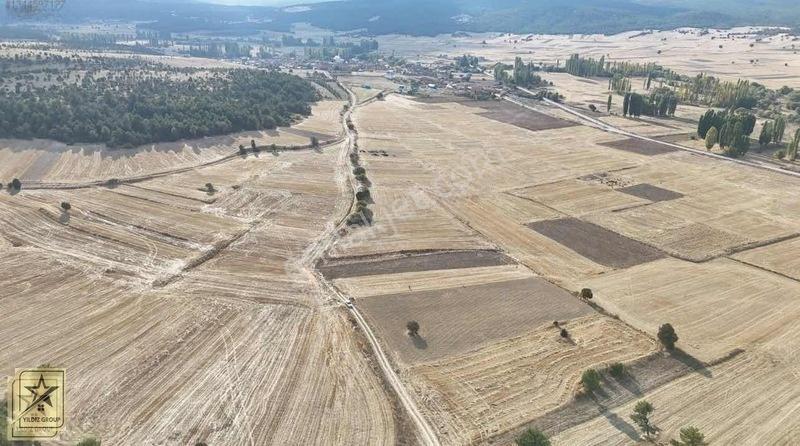 Altıntaş Pınarcık Havalimanı 14 Km|zafer Osb 20 Km|köye 700 M — fotoğraf 12
