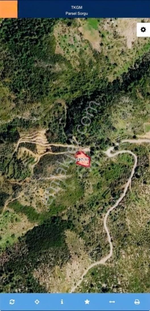 Alanya Orhanlar Mahallesi'nde Acil Satılık Arazi — fotoğraf 2