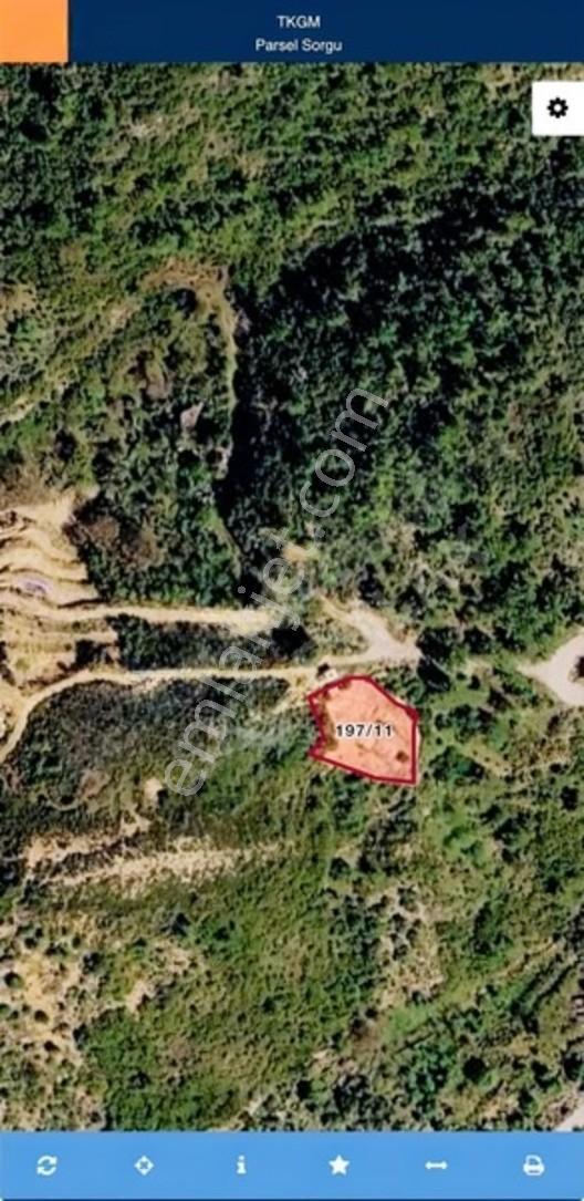 Alanya Orhanlar Mahallesi'nde Acil Satılık Arazi — fotoğraf 5