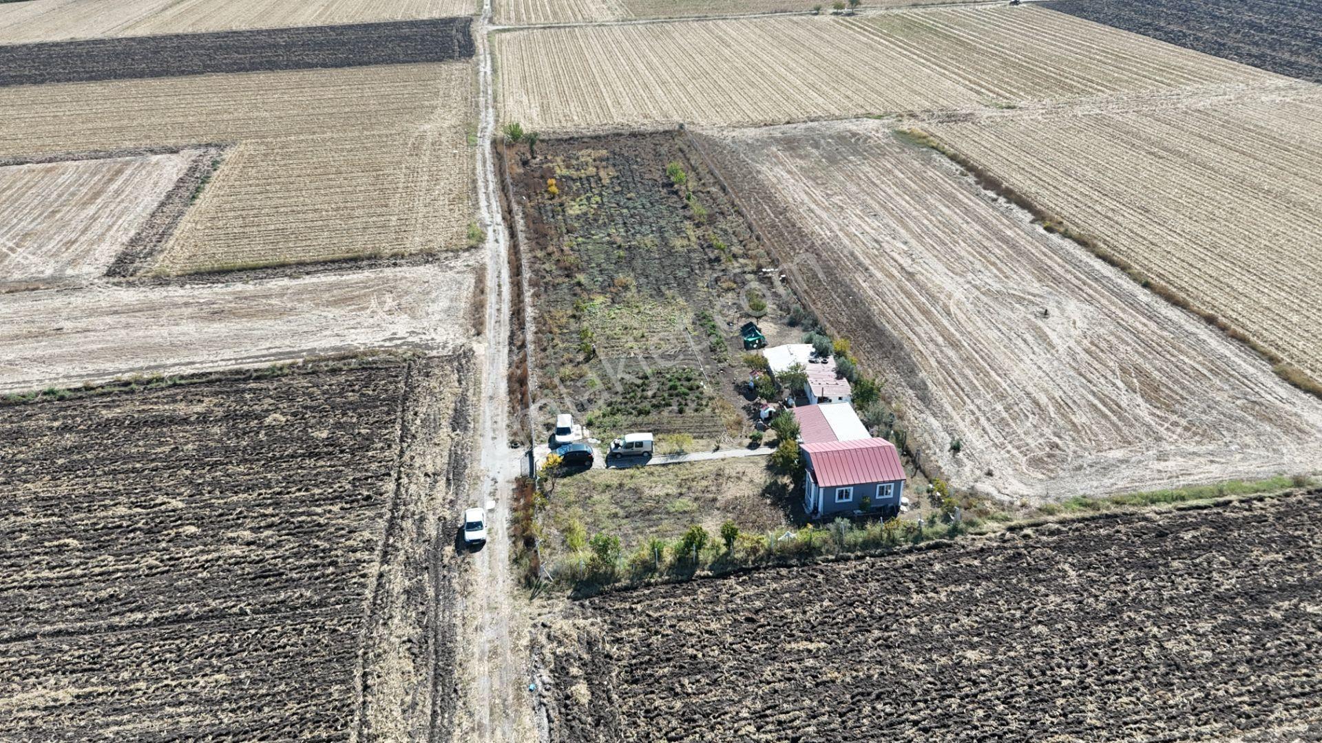 İzmir Menderes Tekelide 5 Dönüm Müstakil Evi Elektrik Sondaj Suyu — fotoğraf 7