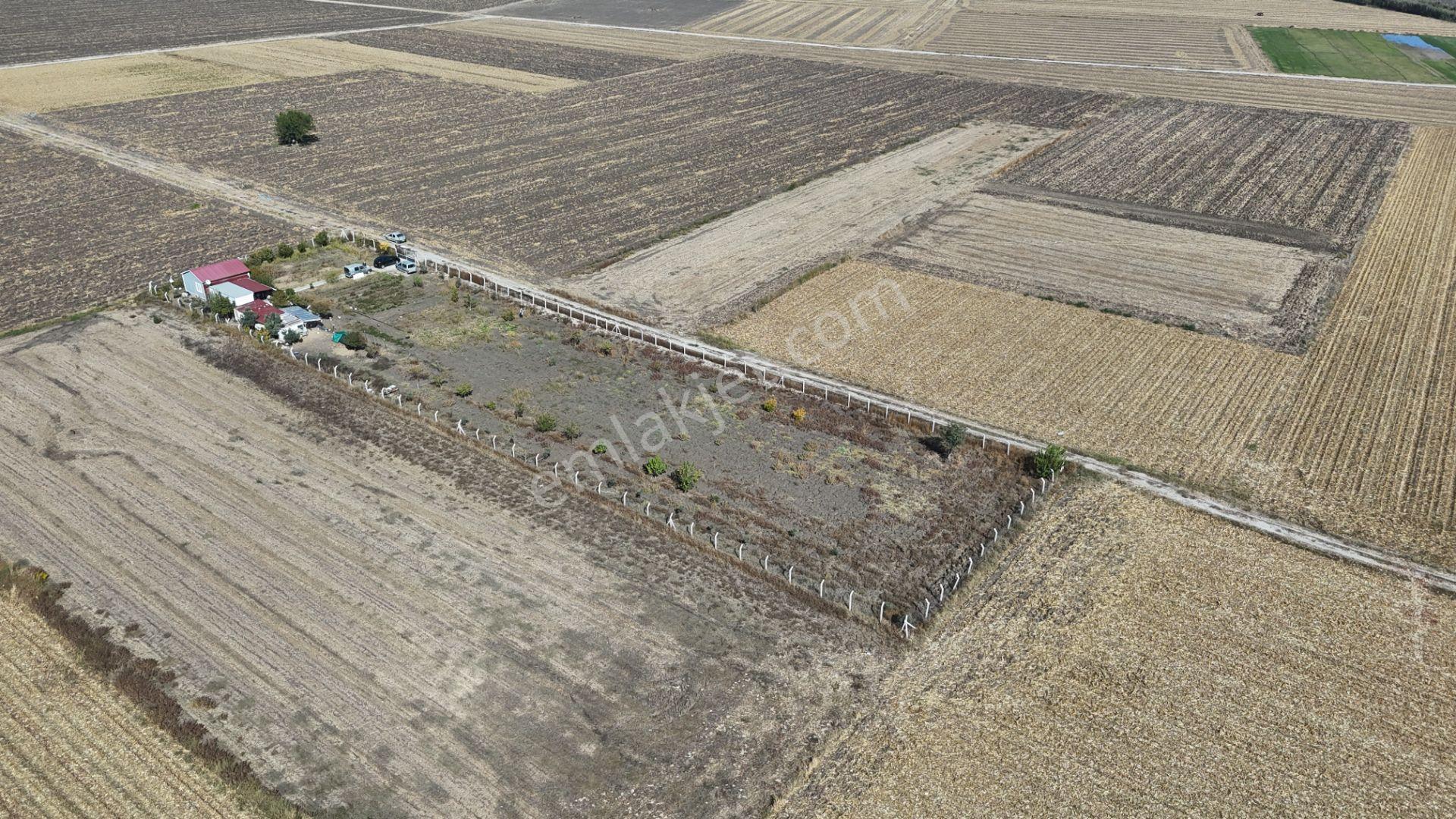 İzmir Menderes Tekelide 5 Dönüm Müstakil Evi Elektrik Sondaj Suyu — fotoğraf 14
