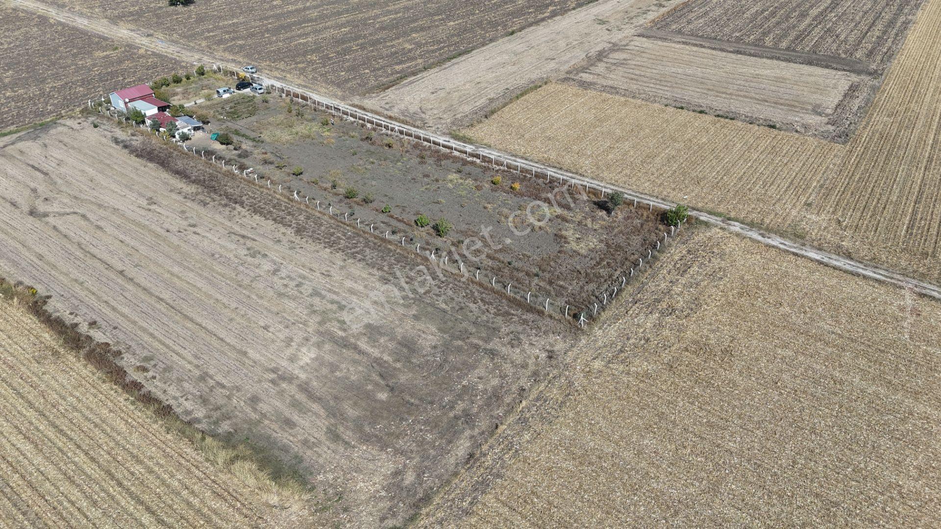 İzmir Menderes Tekelide 5 Dönüm Müstakil Evi Elektrik Sondaj Suyu — fotoğraf 17
