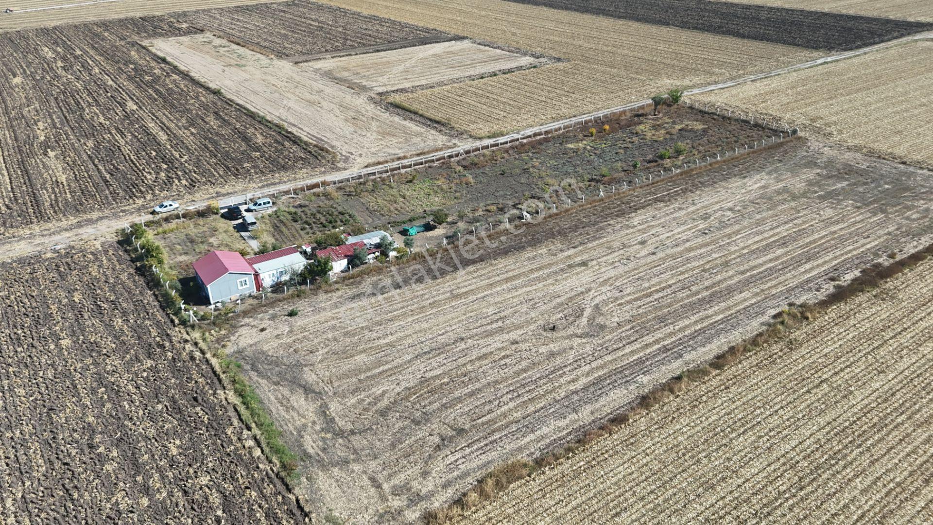 İzmir Menderes Tekelide 5 Dönüm Müstakil Evi Elektrik Sondaj Suyu — fotoğraf 19