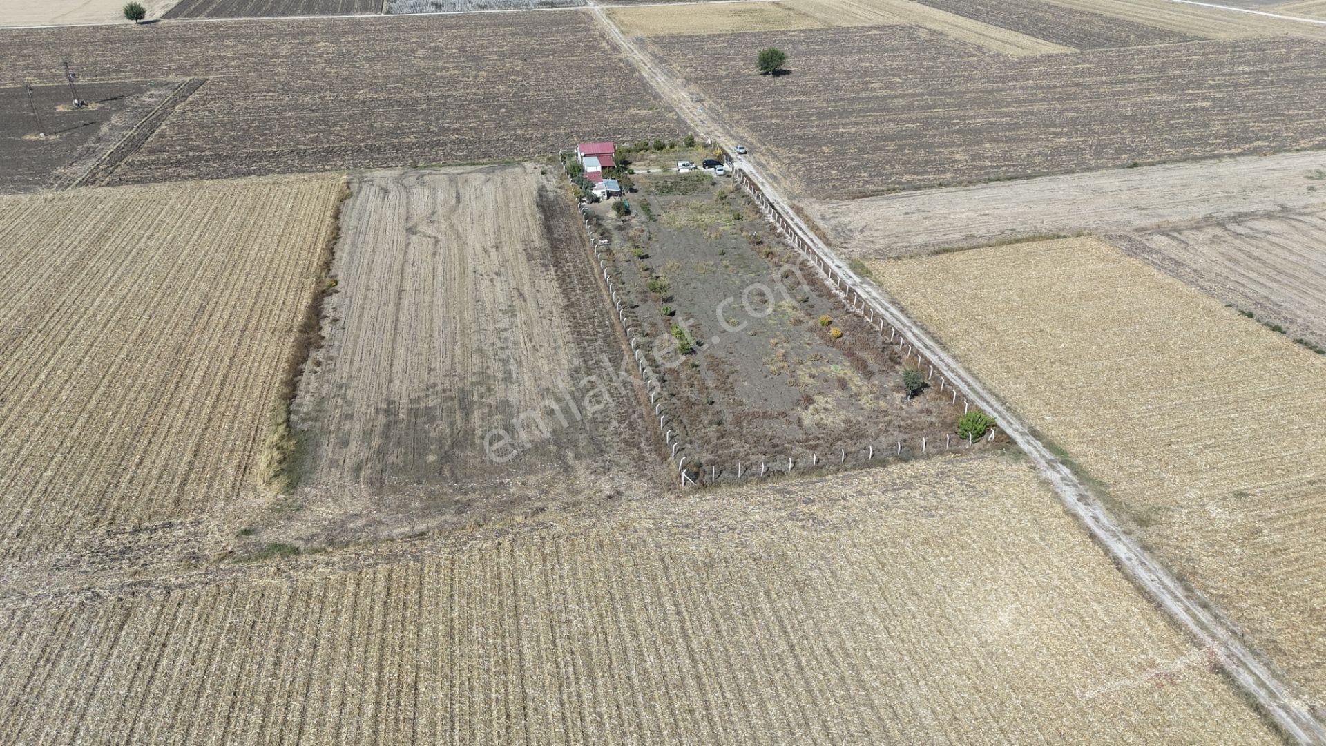 İzmir Menderes Tekelide 5 Dönüm Müstakil Evi Elektrik Sondaj Suyu — fotoğraf 21