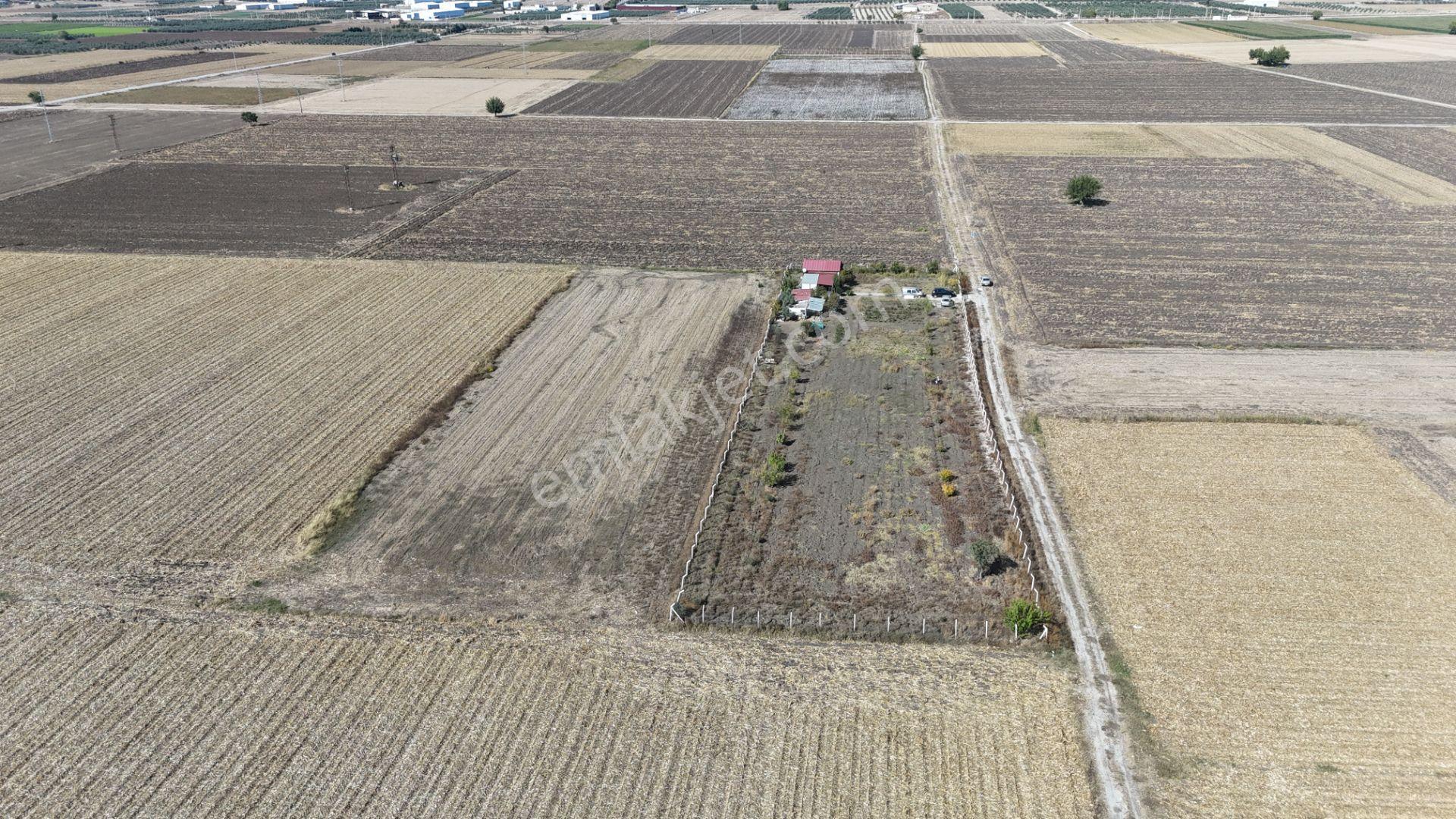 İzmir Menderes Tekelide 5 Dönüm Müstakil Evi Elektrik Sondaj Suyu — fotoğraf 23