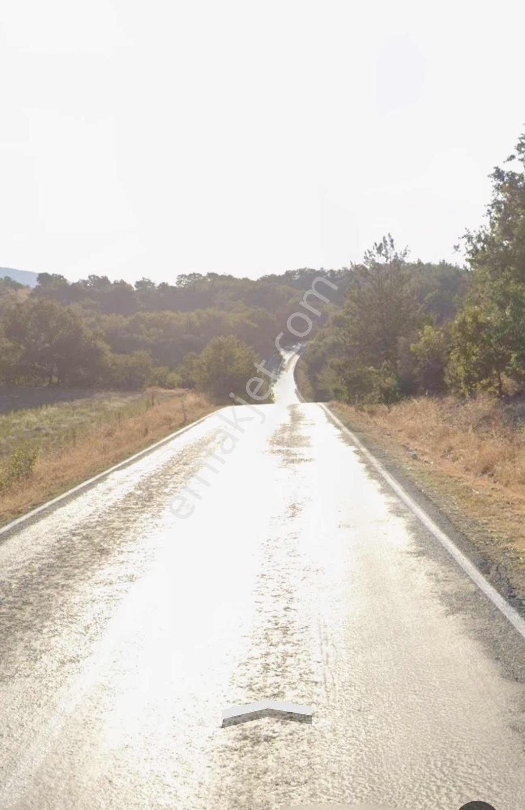 Ana Yola Yakın Resmi Yolu Açık Kullanışlı Yatırımlık Arazi — fotoğraf 6