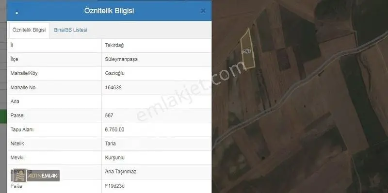 Tekirdağ Gazioğlu'da Yeni Otoban Yolu Yanı Satılık 6750 M2 Tarla — fotoğraf 4