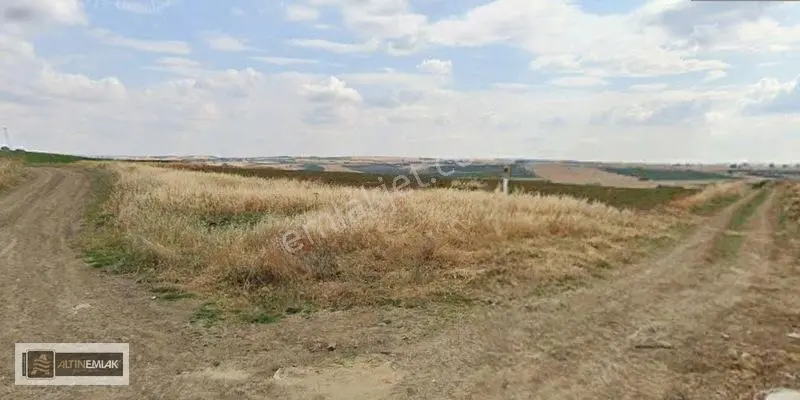 Tekirdağ Gazioğlu'da Yeni Otoban Yolu Yanı Satılık 6750 M2 Tarla — fotoğraf 5