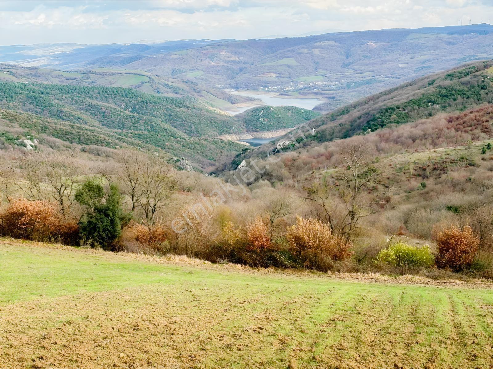 Gönen Kocapınar Da Asfalt Cephe Manzaralı Çiftlik Arazisi — fotoğraf 8
