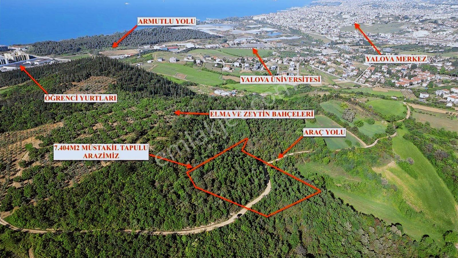 Yalova Merkez'E Yakın M2 Avantajlı Yatırımlık Arazi