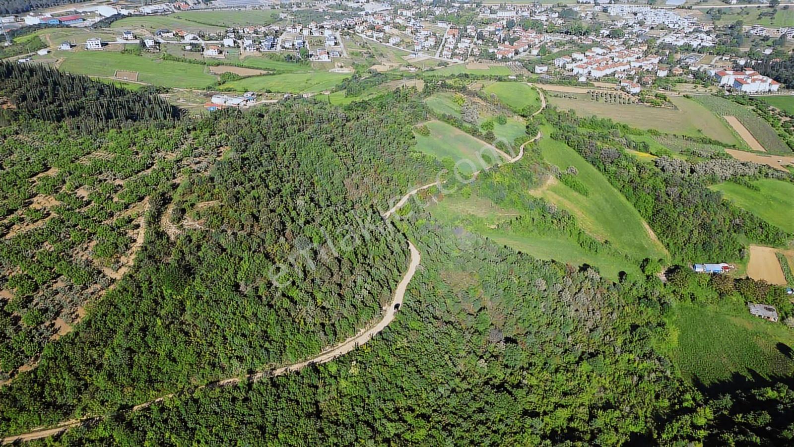 Yalova Merkez'e Yakın M2 Avantajlı Yatırımlık Arazi — fotoğraf 2