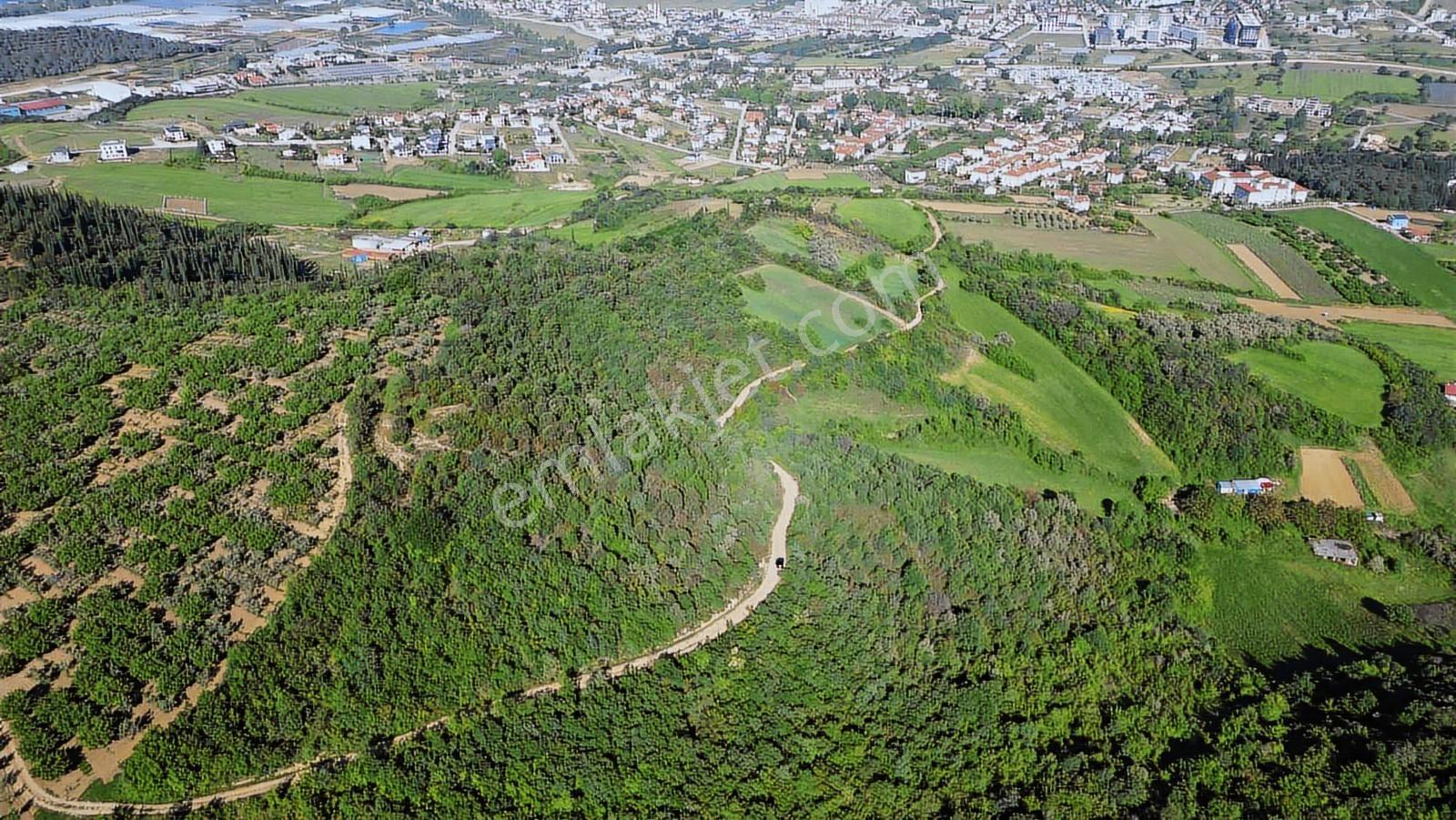 Yalova Merkez'e Yakın M2 Avantajlı Yatırımlık Arazi — fotoğraf 3