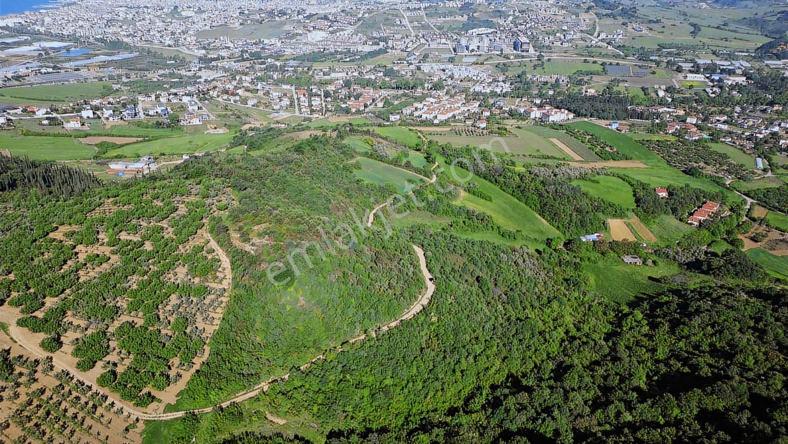 Yalova Merkez'e Yakın M2 Avantajlı Yatırımlık Arazi — fotoğraf 4