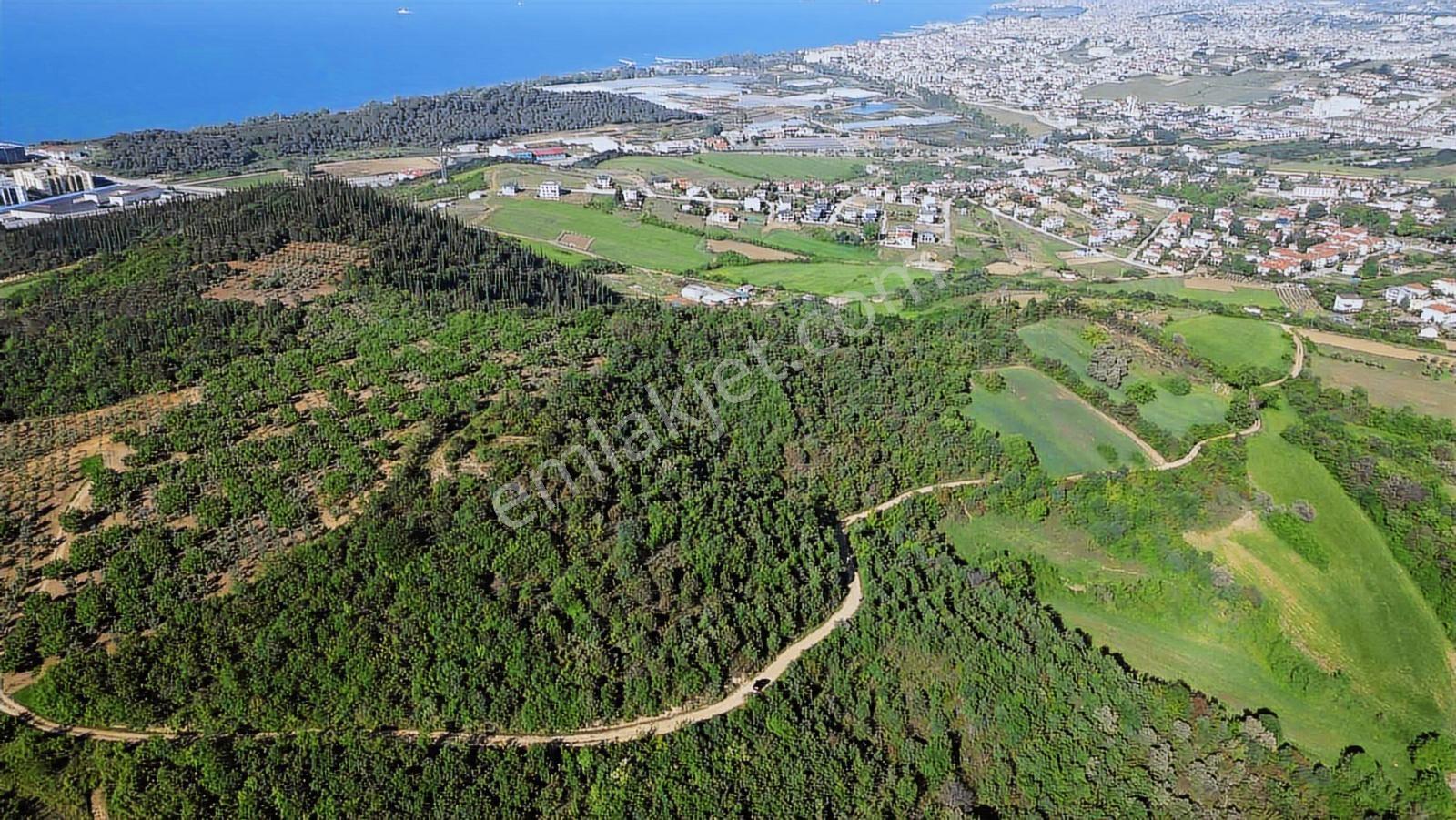 Yalova Merkez'e Yakın M2 Avantajlı Yatırımlık Arazi — fotoğraf 5