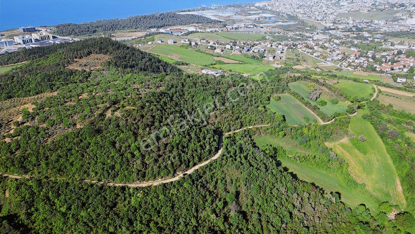 Yalova Merkez'e Yakın M2 Avantajlı Yatırımlık Arazi — fotoğraf 6