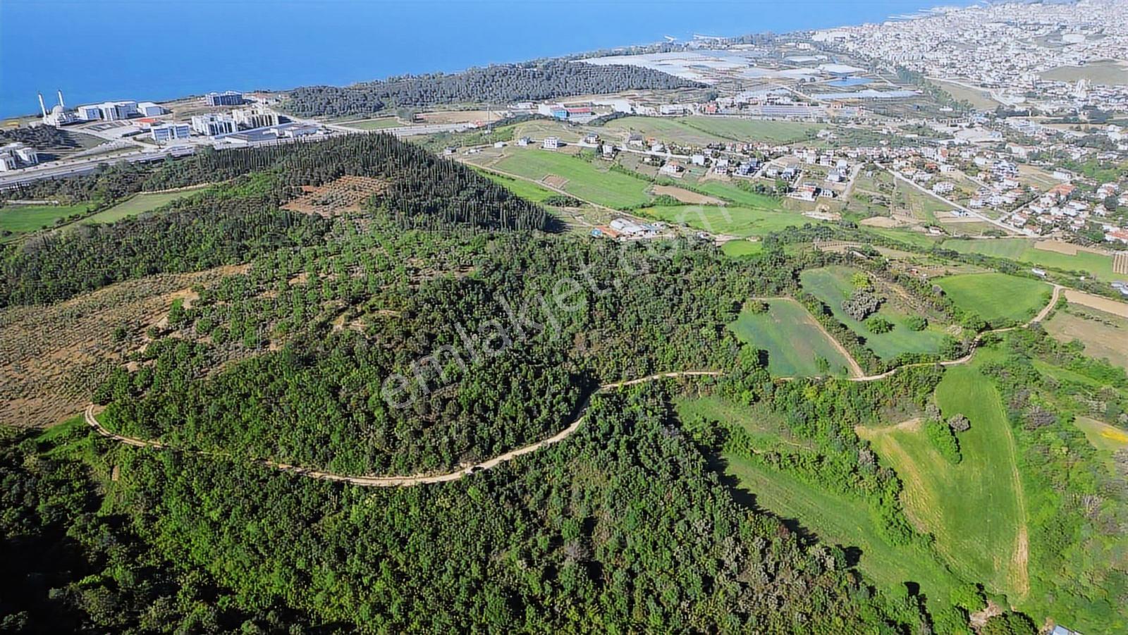 Yalova Merkez'e Yakın M2 Avantajlı Yatırımlık Arazi — fotoğraf 7