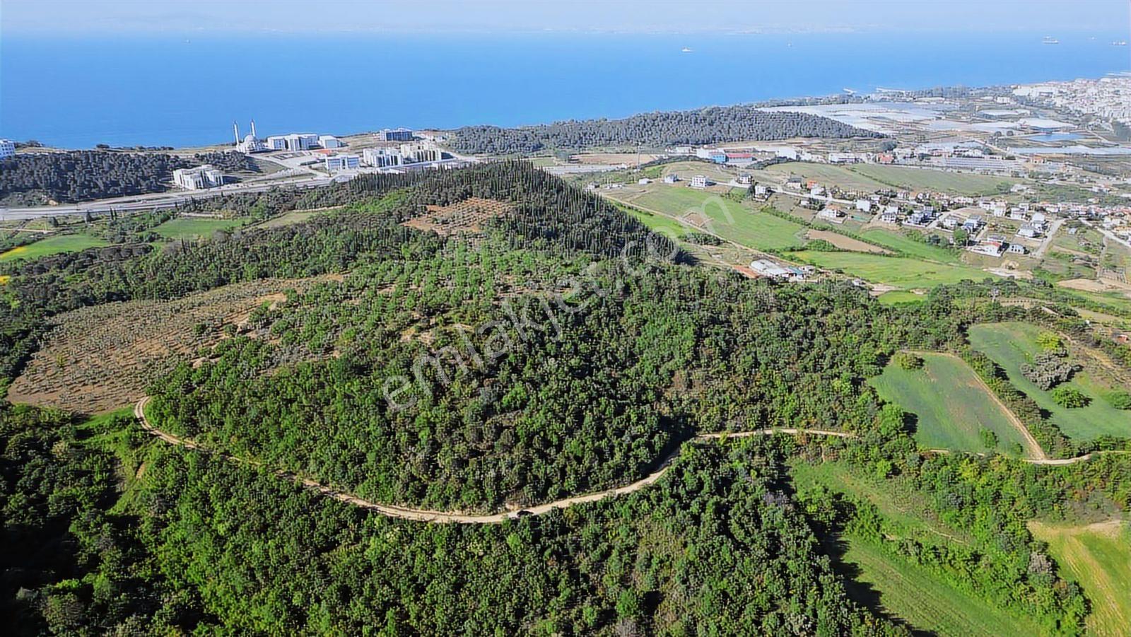 Yalova Merkez'e Yakın M2 Avantajlı Yatırımlık Arazi — fotoğraf 8