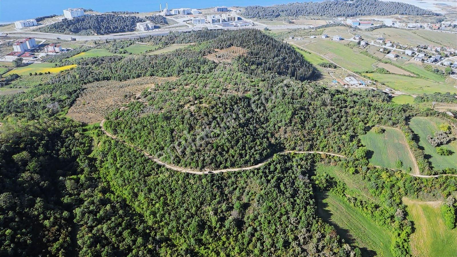 Yalova Merkez'e Yakın M2 Avantajlı Yatırımlık Arazi — fotoğraf 9