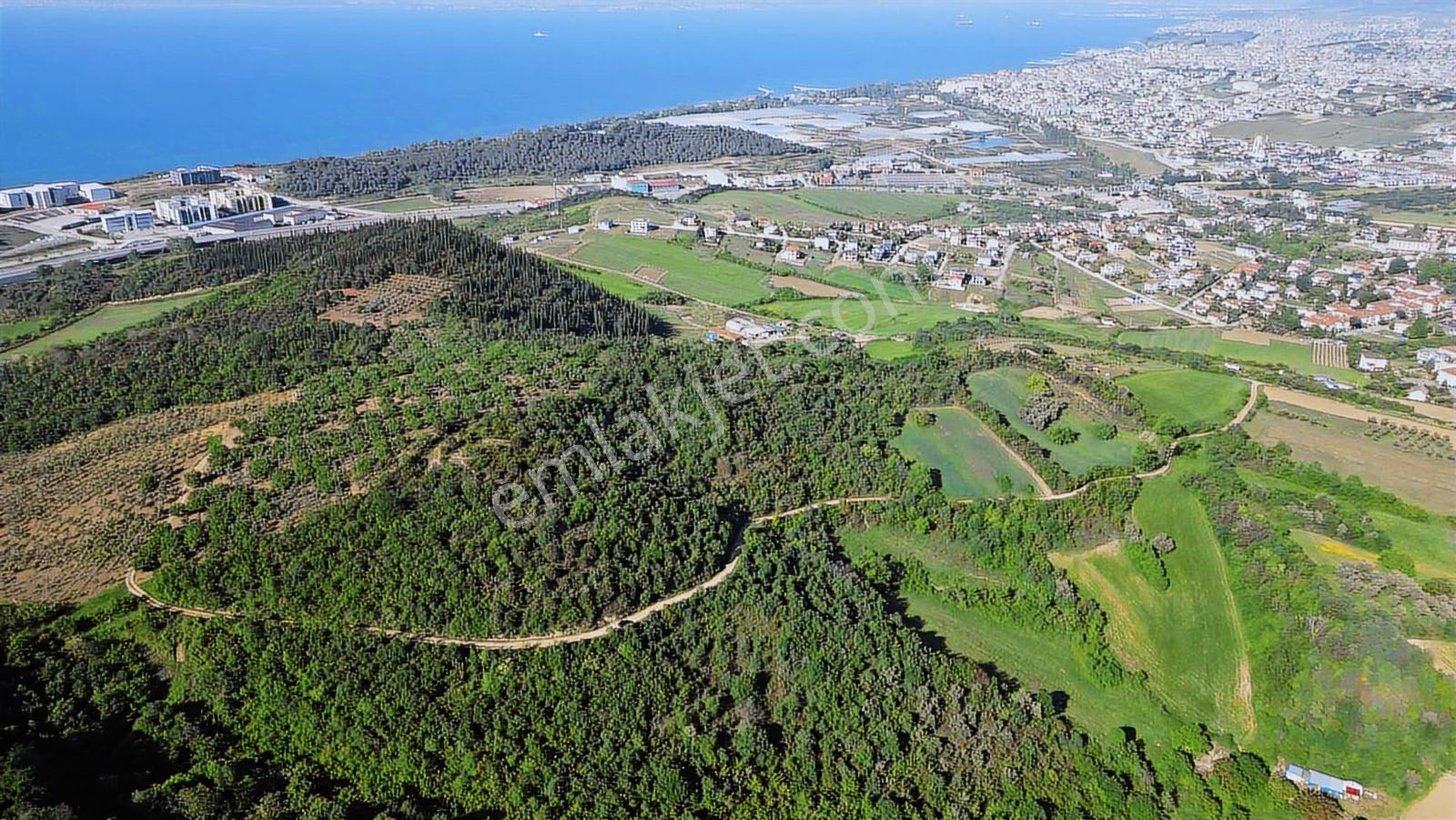 Yalova Merkez'e Yakın M2 Avantajlı Yatırımlık Arazi — fotoğraf 10