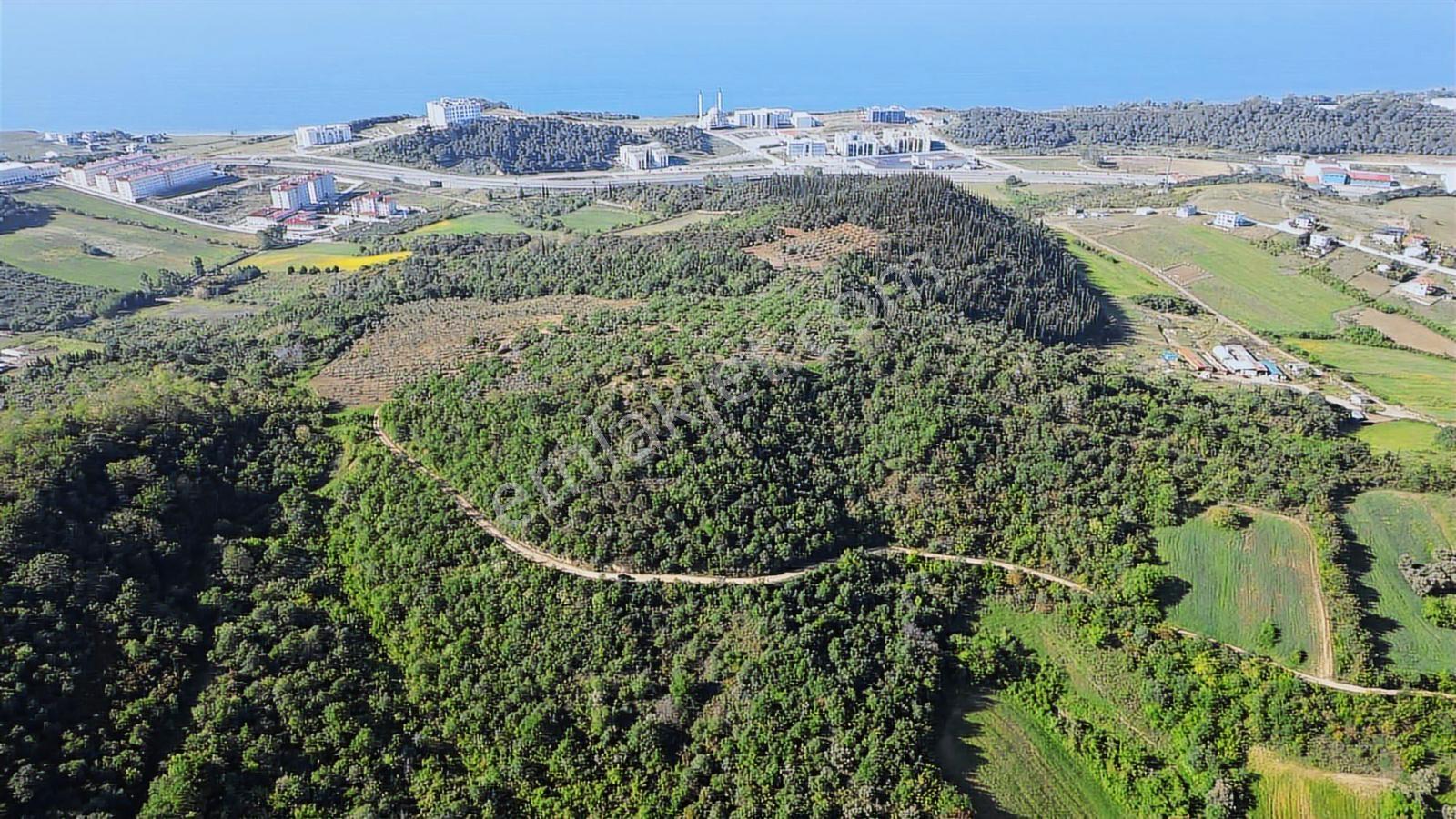 Yalova Merkez'e Yakın M2 Avantajlı Yatırımlık Arazi — fotoğraf 11