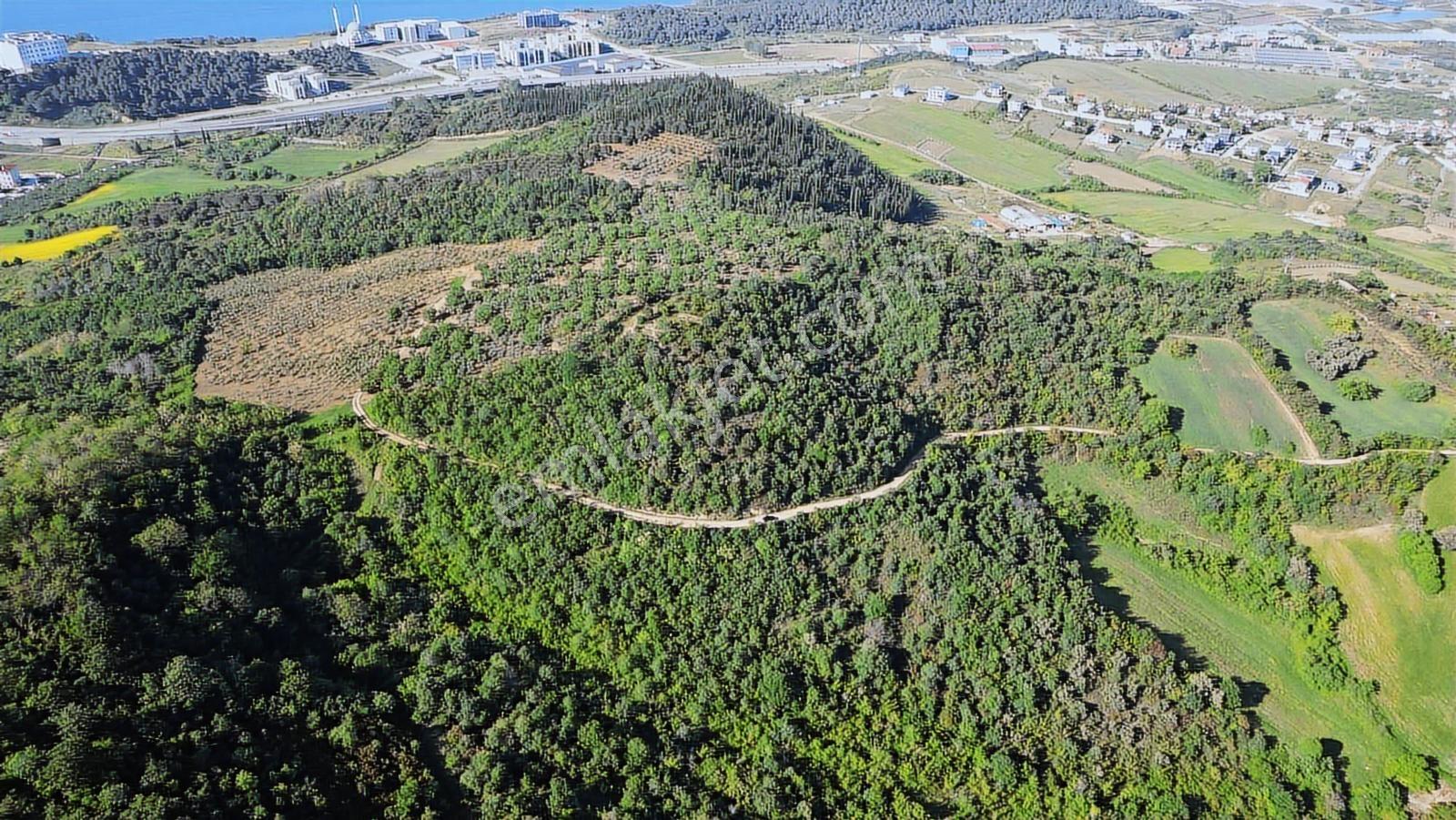 Yalova Merkez'e Yakın M2 Avantajlı Yatırımlık Arazi — fotoğraf 12