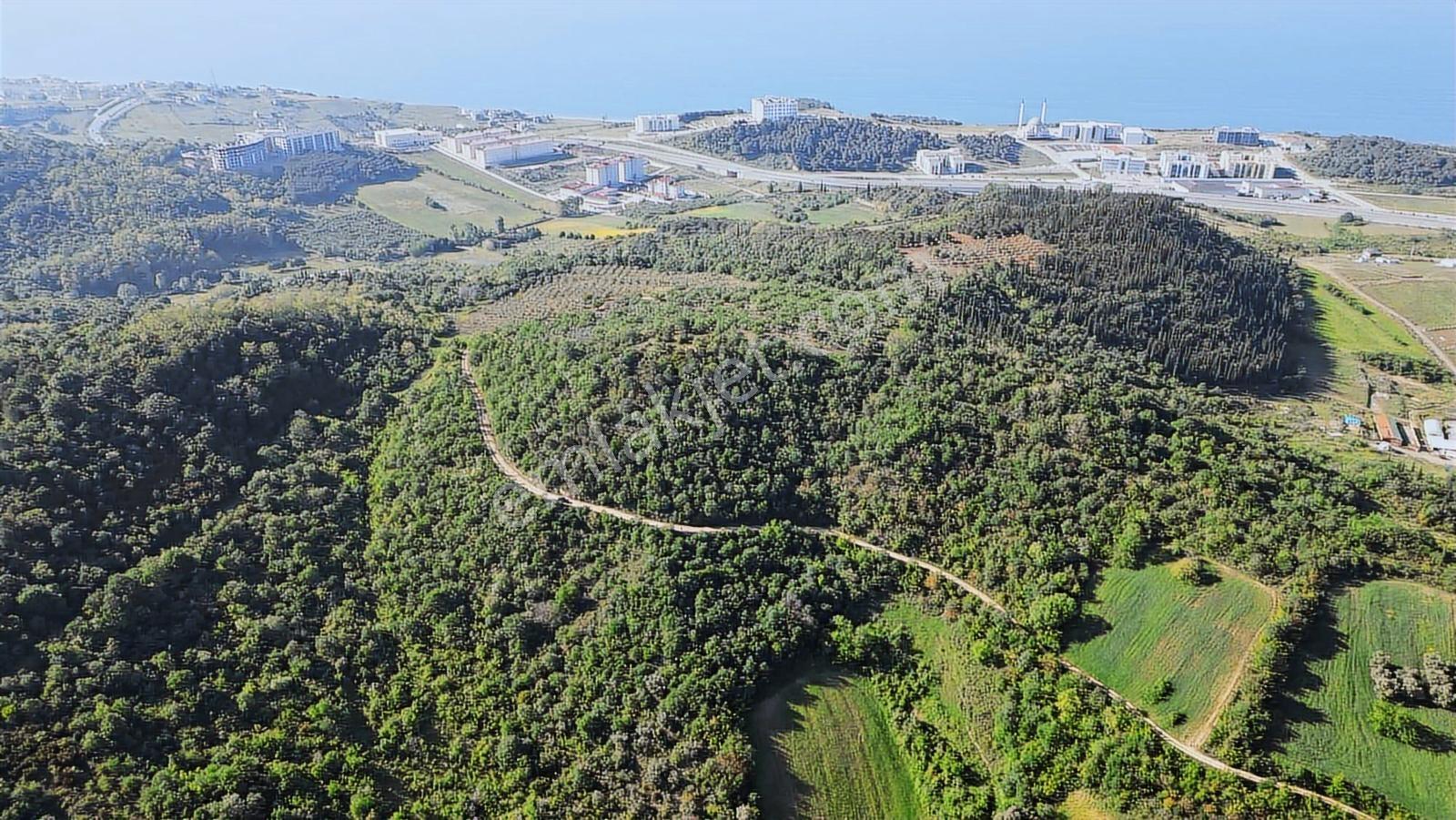 Yalova Merkez'e Yakın M2 Avantajlı Yatırımlık Arazi — fotoğraf 13