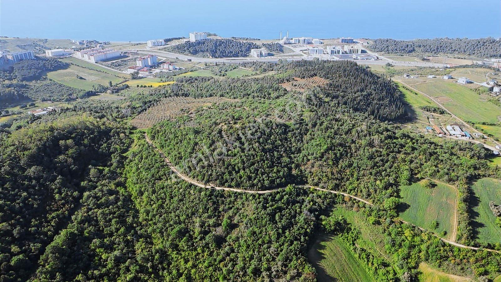 Yalova Merkez'e Yakın M2 Avantajlı Yatırımlık Arazi — fotoğraf 14