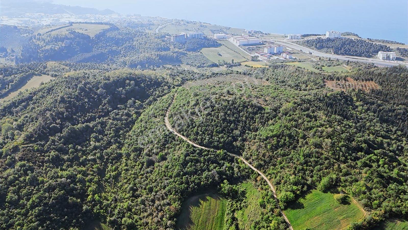 Yalova Merkez'e Yakın M2 Avantajlı Yatırımlık Arazi — fotoğraf 15