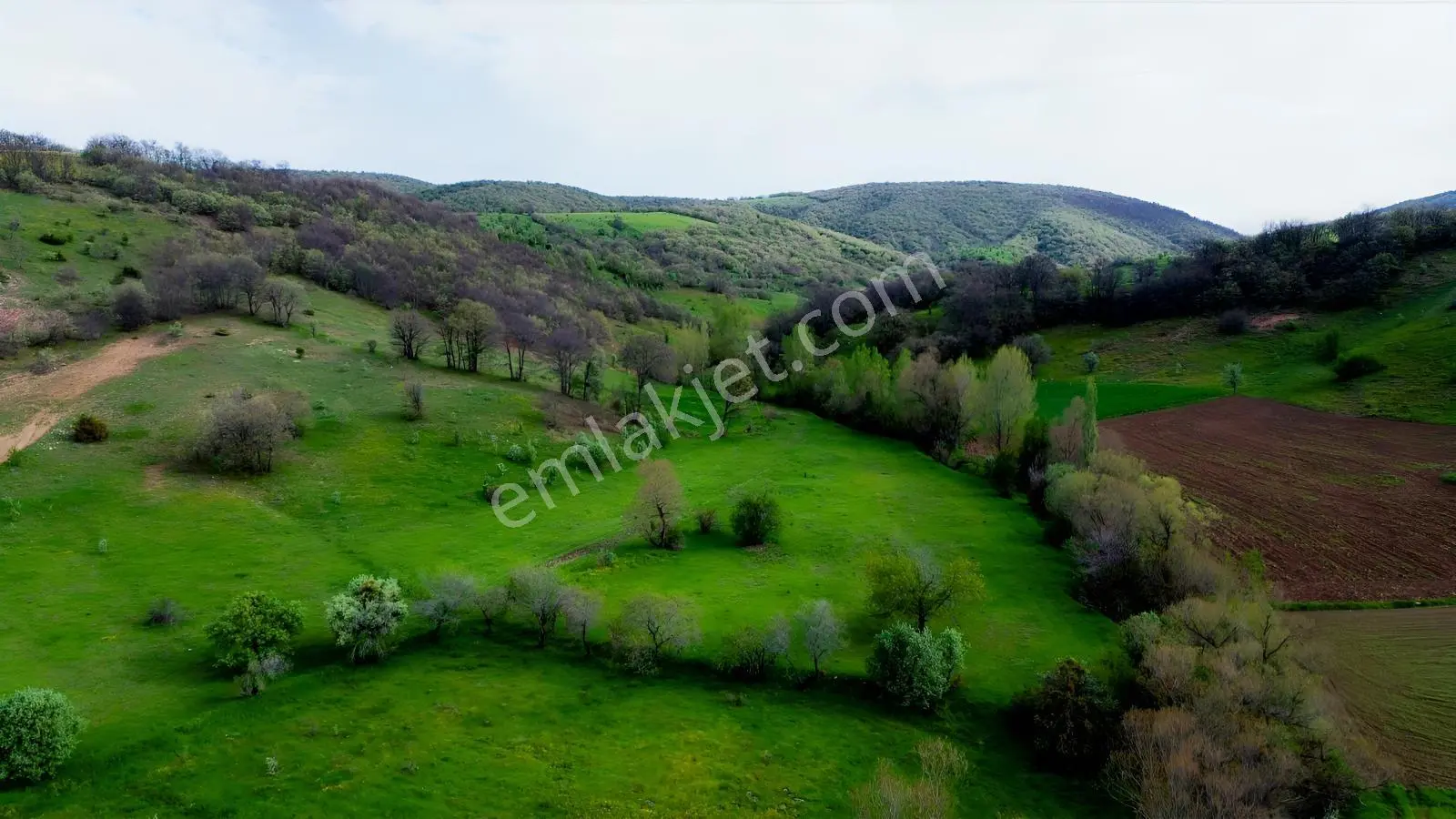 Tokat Artova Evlidere'De 9.353 M² Müstakil Tapulu Tarla