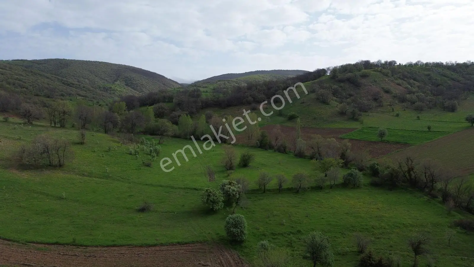 Tokat Artova Evlidere'de 9.353 M² Müstakil Tapulu Tarla — fotoğraf 3