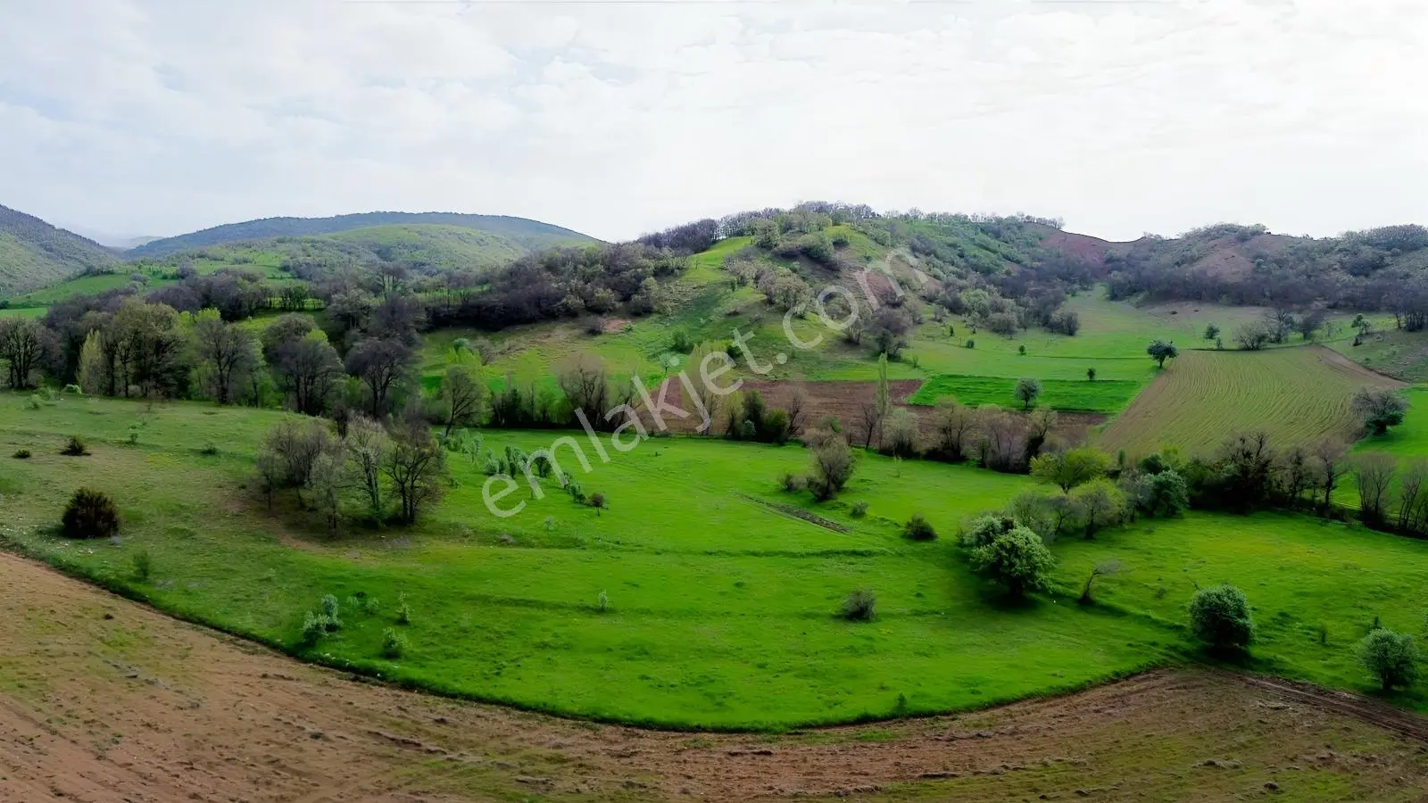 Tokat Artova Evlidere'de 9.353 M² Müstakil Tapulu Tarla — fotoğraf 4