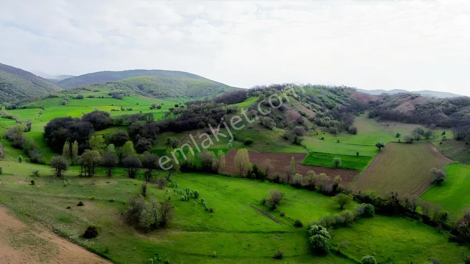 Tokat Artova Evlidere'de 9.353 M² Müstakil Tapulu Tarla — fotoğraf 5
