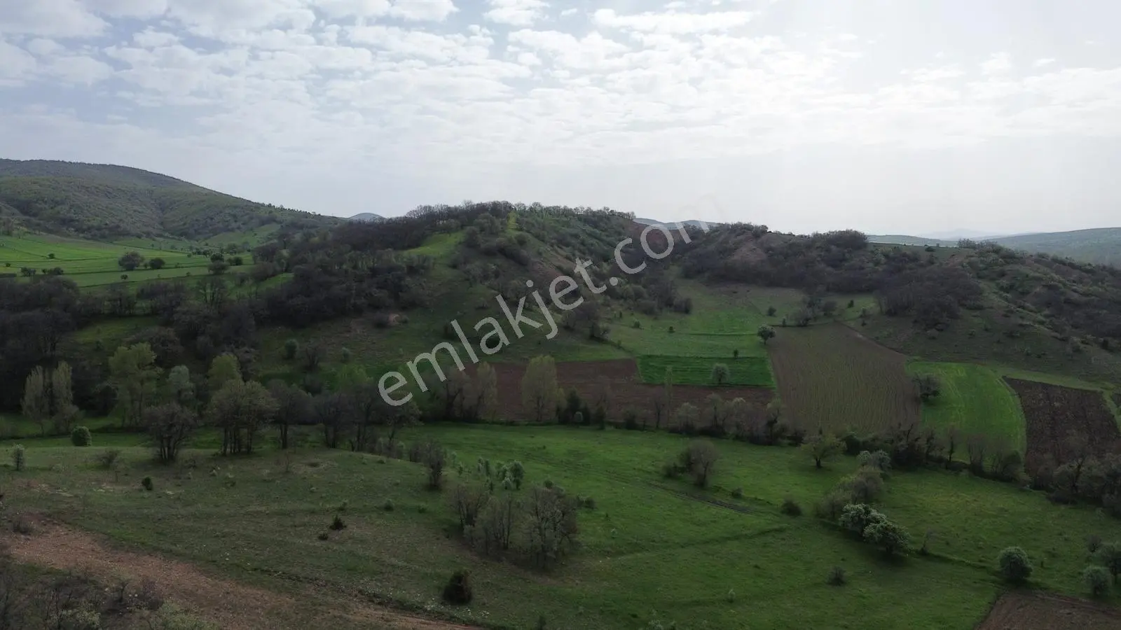 Tokat Artova Evlidere'de 9.353 M² Müstakil Tapulu Tarla — fotoğraf 6