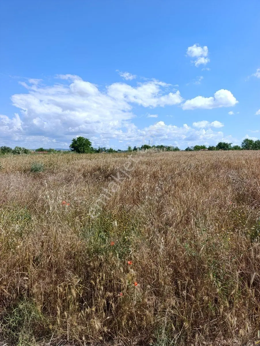 Saray Yuvalı Mh Satılık İmarlı Arsa — fotoğraf 4