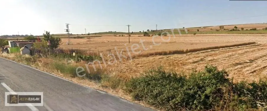 Tekirdağ Gazioğlu-Husunlu Arasnda Asfalt Yol Üzeri Satılık Tarla